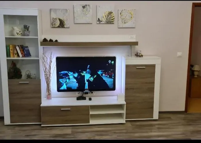 玛乐提克公寓 *