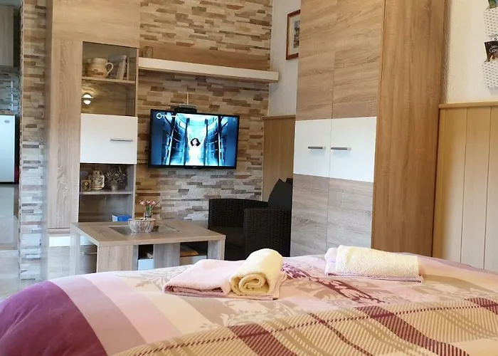 Διαμέρισμα Maletic *